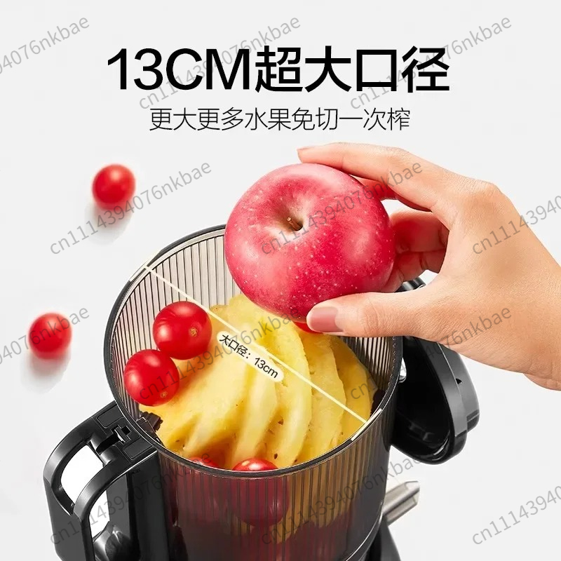 M6 Kaltpress-Slow-Juicer, Groß – Electric Slow Juicer Cold Press Bewertung und Preis